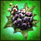 Oilberry, I found you!