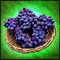 A whole basket of Oilberries