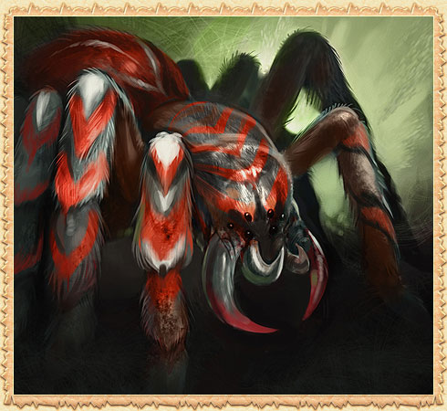 Female Fire Spider