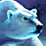 Wild Ice Bear
