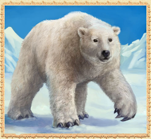 Polar Bear