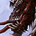 Droolizard Gershess