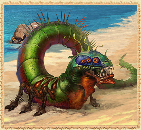 Scolopendra