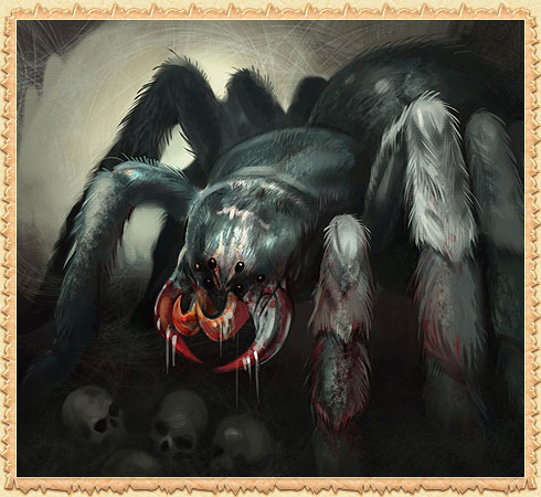 Male Ashen Spider