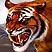 Saber-tooth Tiger